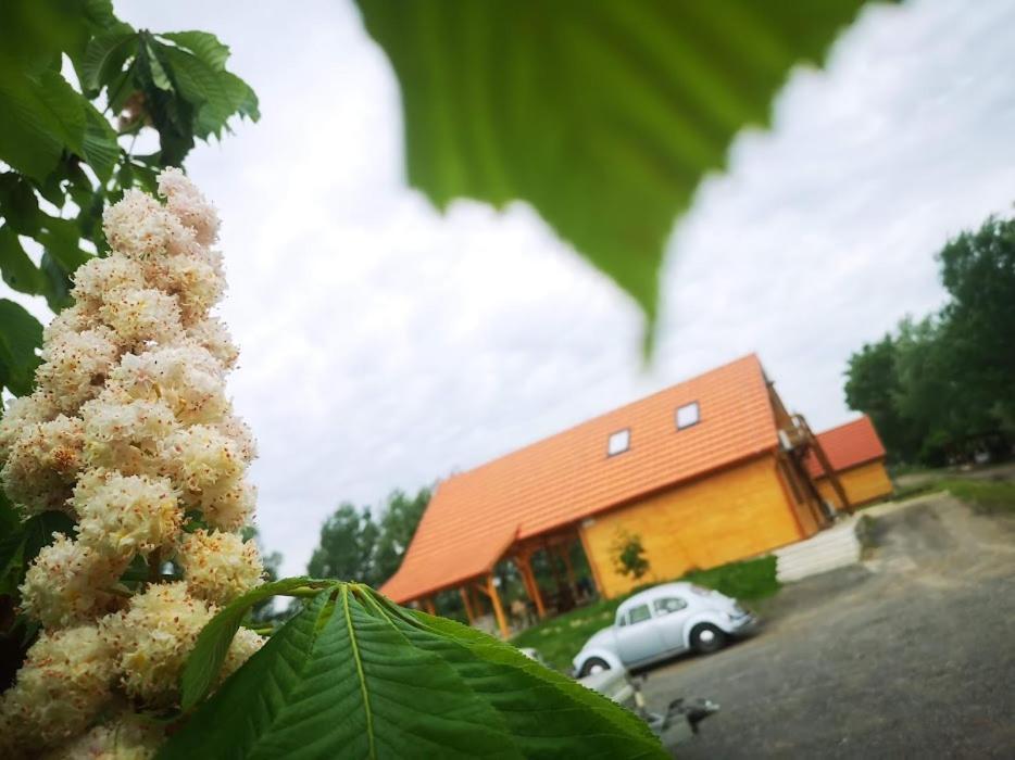 Tomajor Vendeghazak Apartment Tiszaeszlar Bagian luar foto