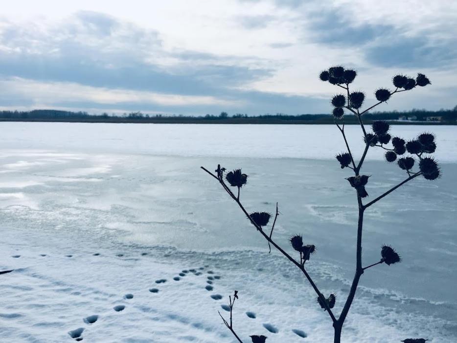 Tomajor Vendeghazak Apartment Tiszaeszlar Bagian luar foto